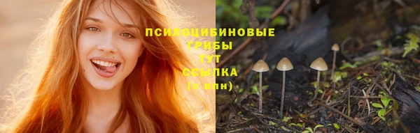 прущая мука Медногорск