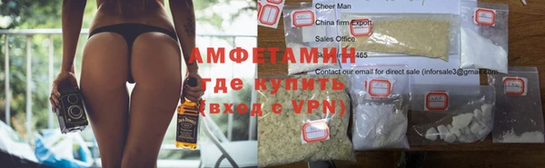 крисы Мегион