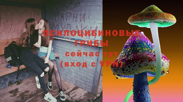 крисы Мегион