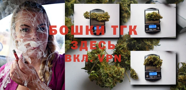крисы Мегион