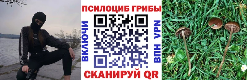 Псилоцибиновые грибы прущие грибы Краснознаменск