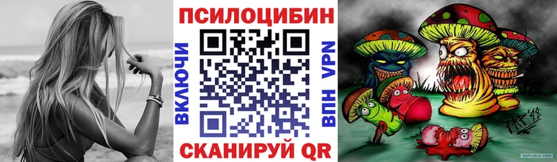 что такое наркотик Краснознаменск Галлюциногенные грибы MAGIC MUSHROOMS